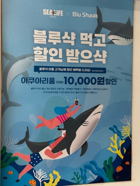 블루샥 이미지