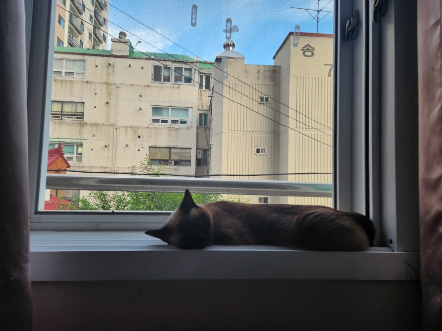 예명관 이미지