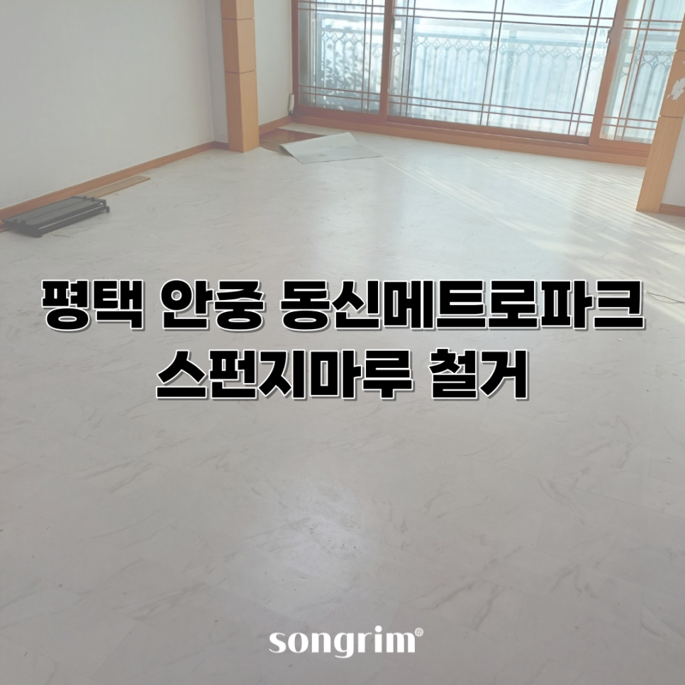 동신스폰지 이미지