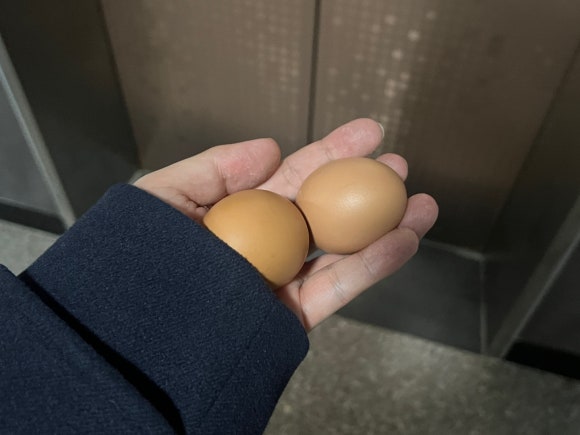 우니야 팔달점 이미지