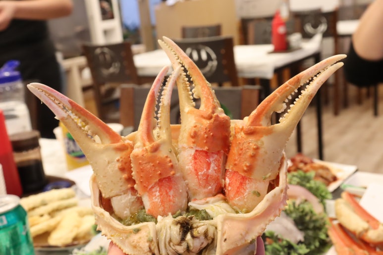 삼척대게왕 이미지