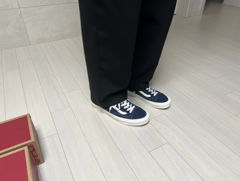 반스완 이미지