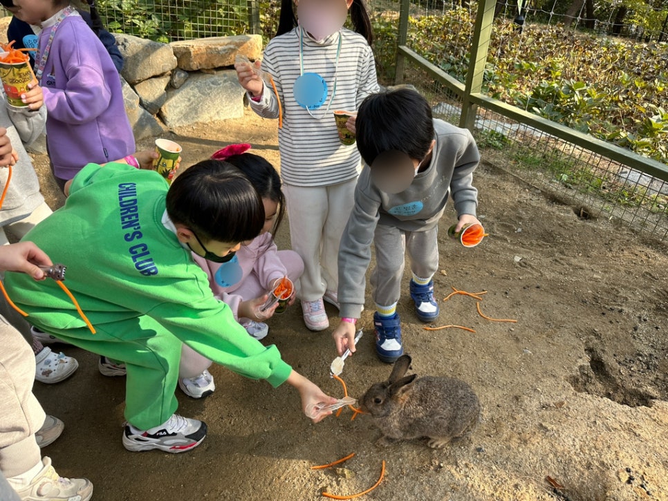 금빛 유치원 이미지