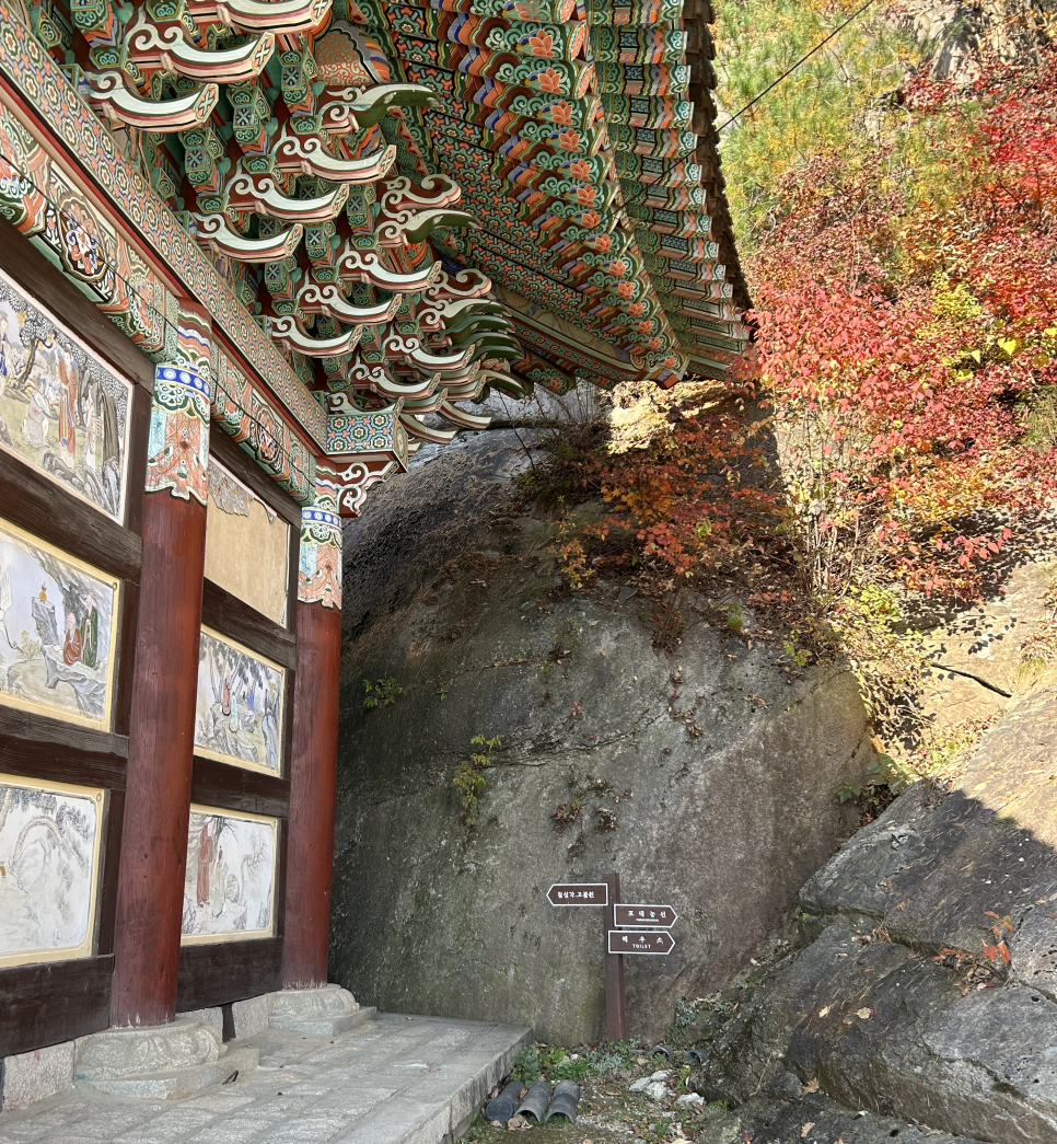 영수네 이미지