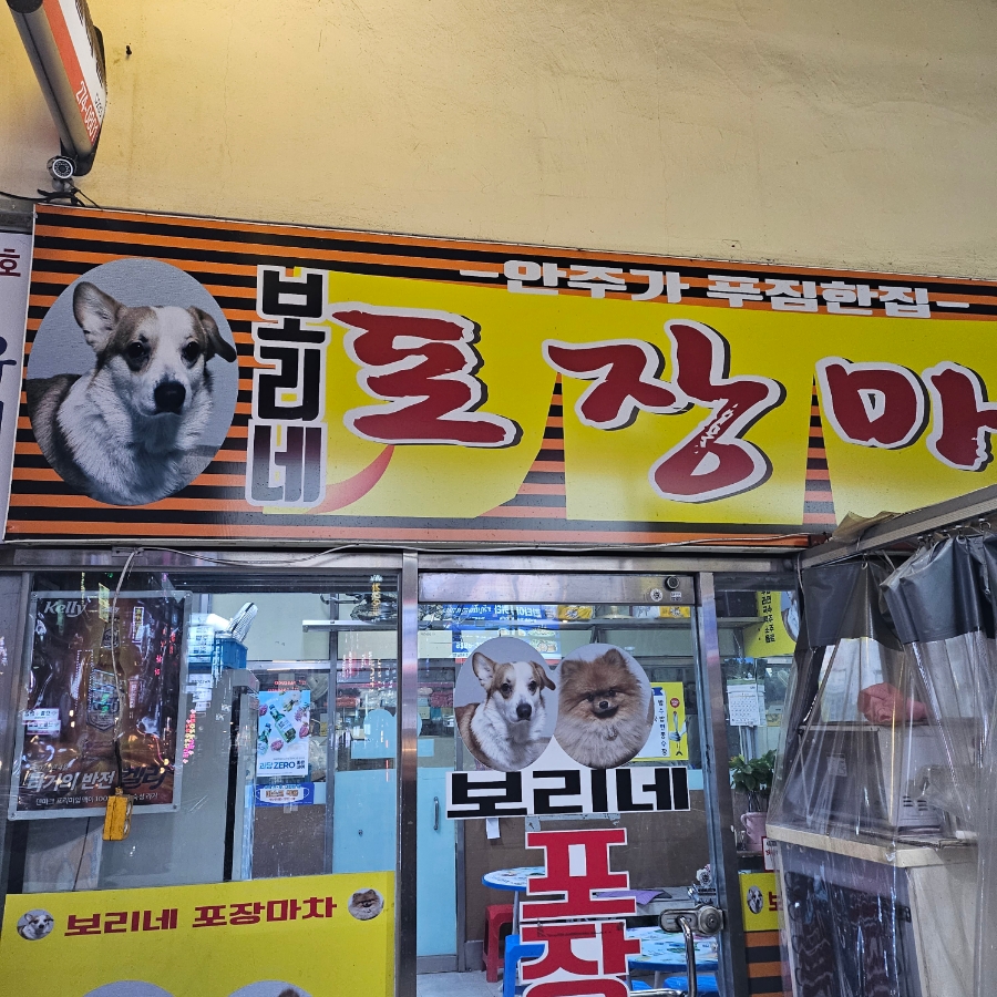 보리네포차 이미지