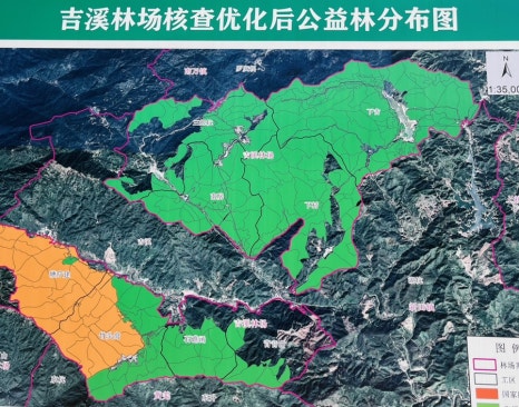 계림장 이미지