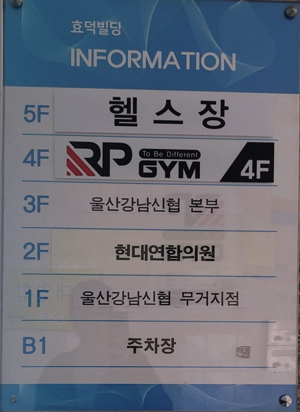 알피짐 이미지