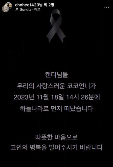 세일병원 이미지