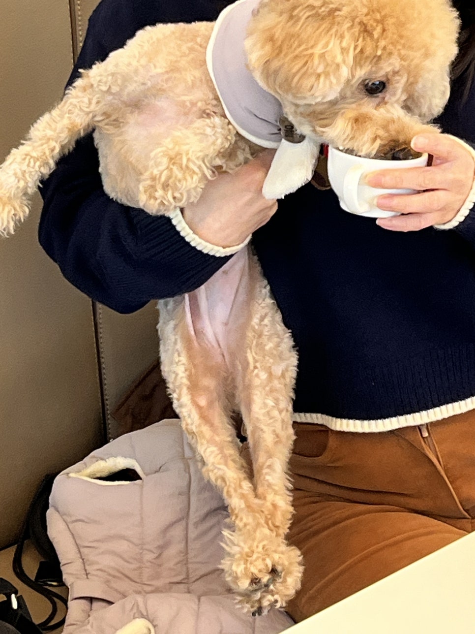 털보손만두 이미지