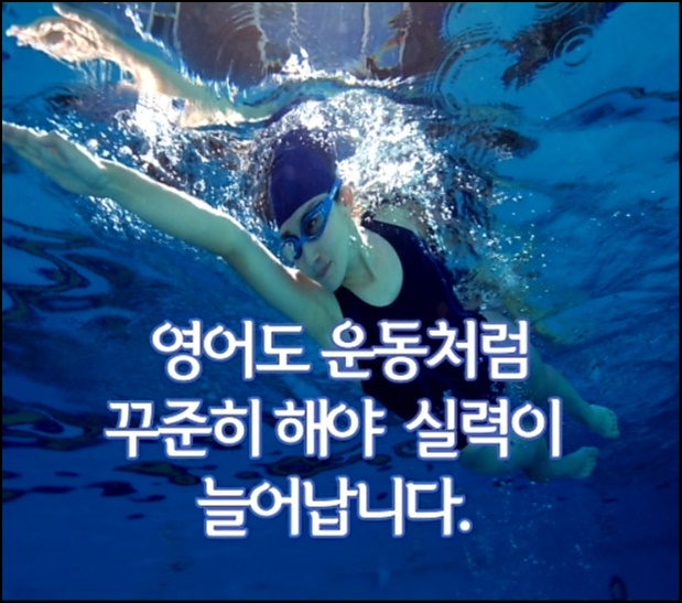 허선생어학연수 이미지