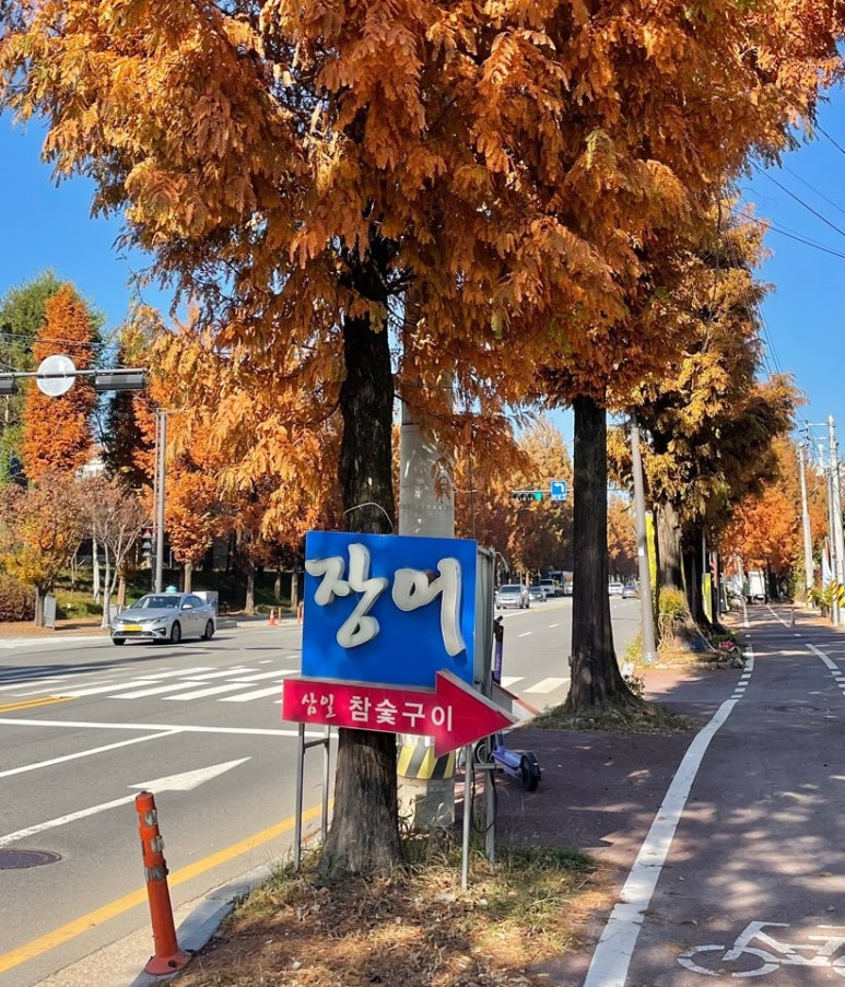 일곡풍천장어 이미지
