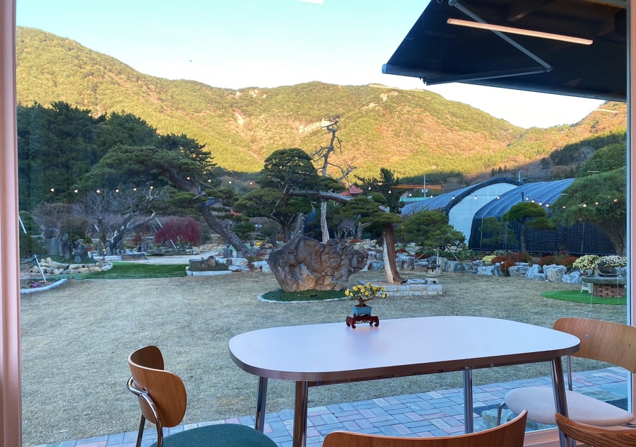 카페화수목 이미지