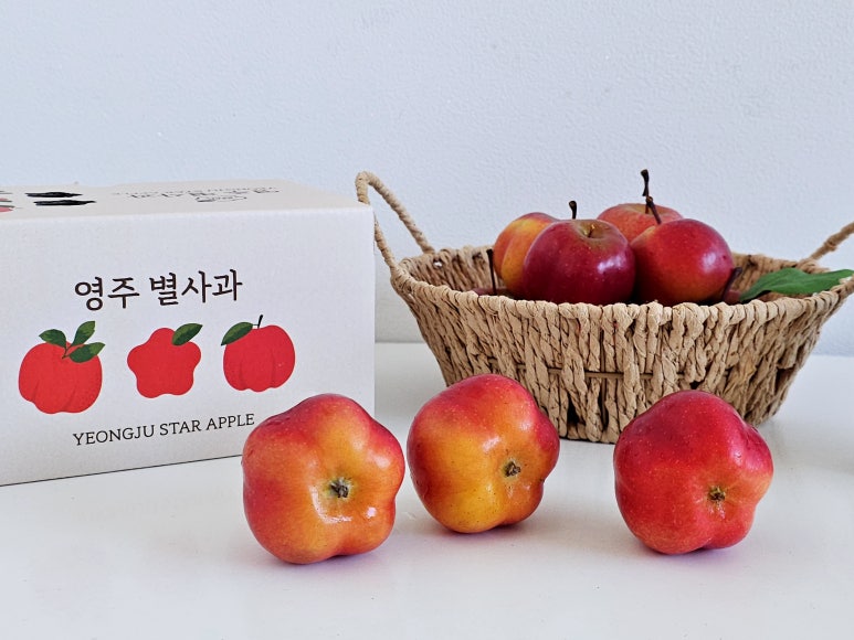 큰별스토어 이미지