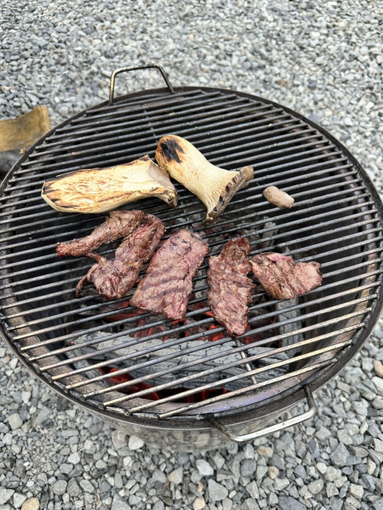 도토리캠핑장 이미지
