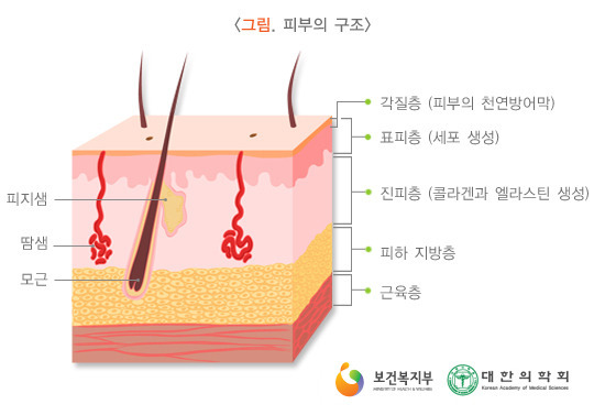 영앤뷰티 이미지