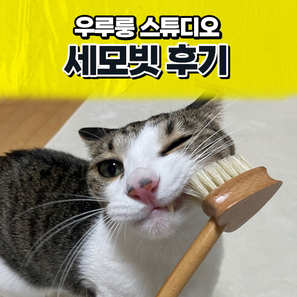 우루룽 이미지