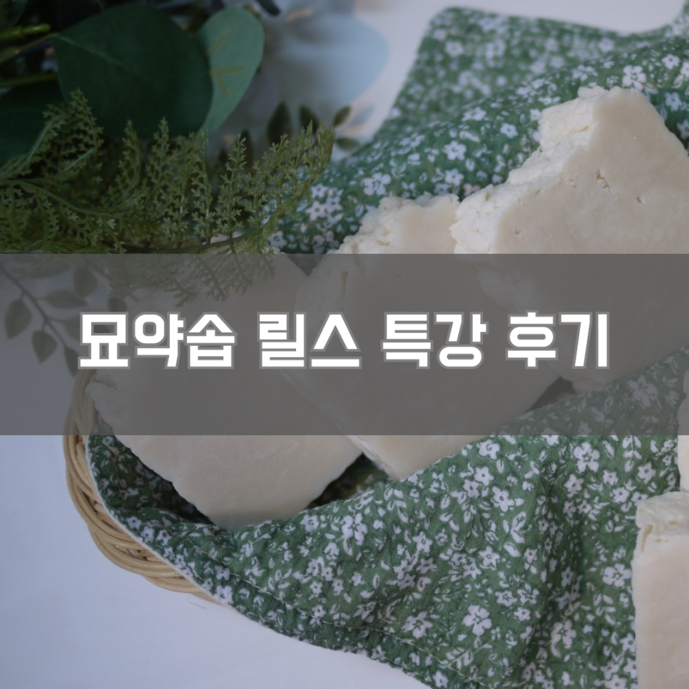 묘약솝 이미지