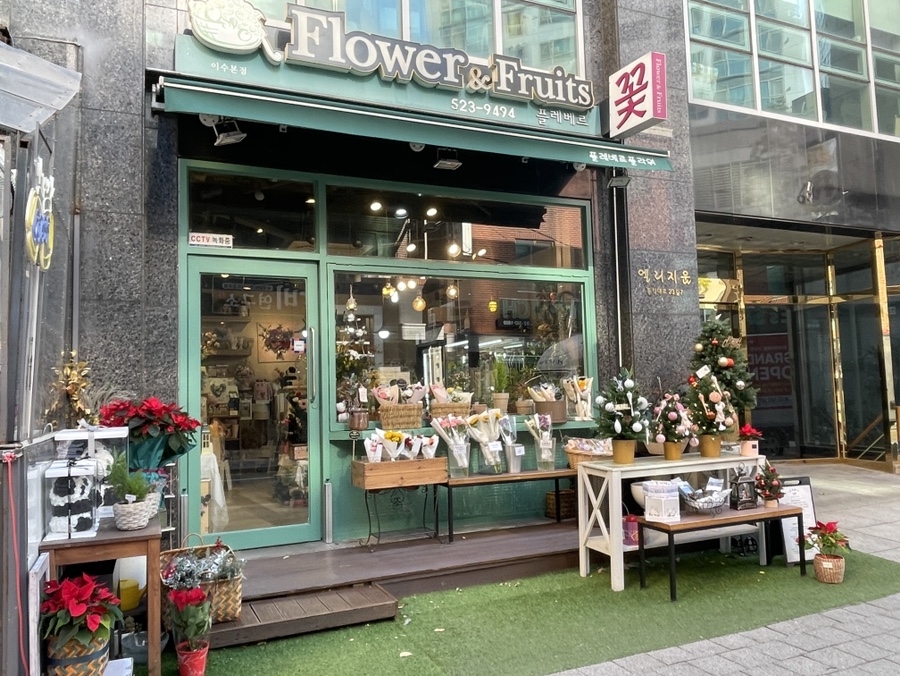 플레베르플라워 이미지