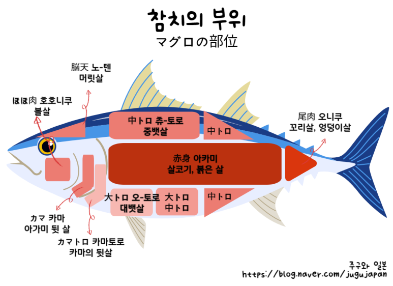 오도로참치 이미지