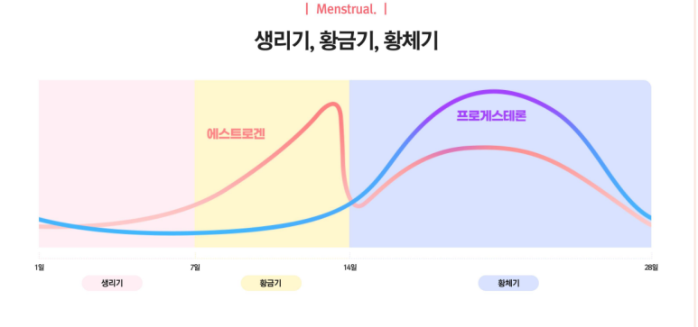 리미티드샵 이미지