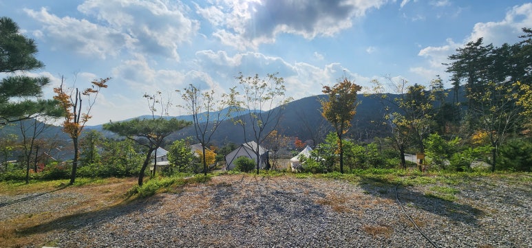 연지곤지팜캠핑장 이미지