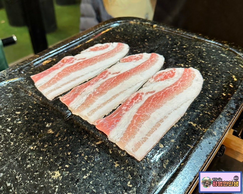 돈돌집 이미지