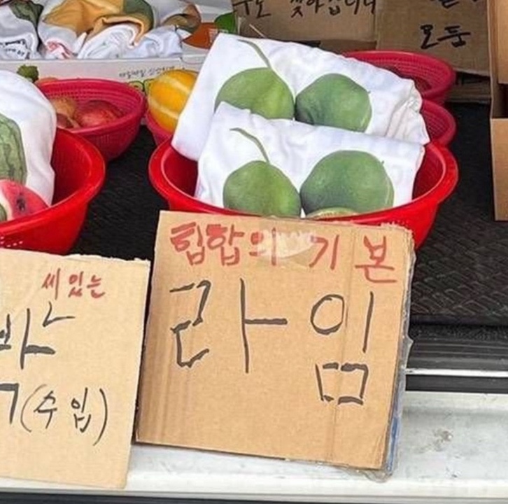 핑킹클럽 이미지