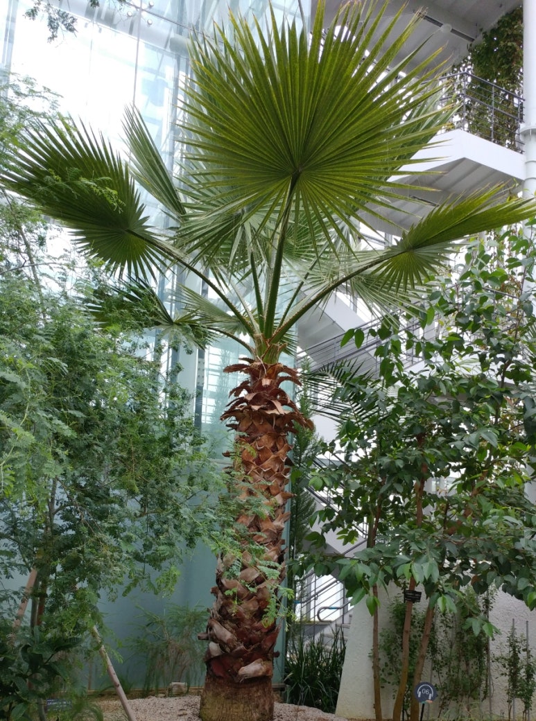 바른생활 이미지