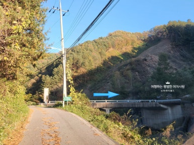 몽리치 이미지