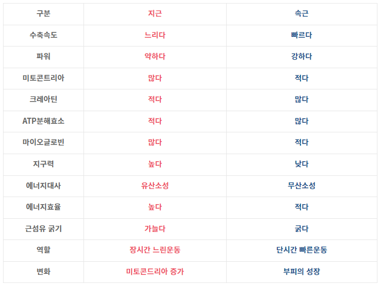 디오엠 이미지