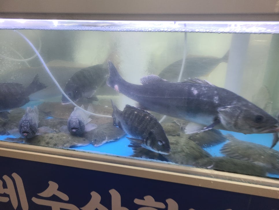 물레수산 이미지