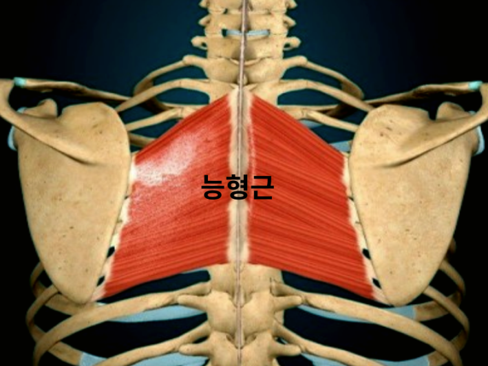 다함케어 이미지