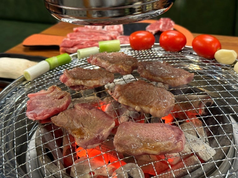 더미양 이미지
