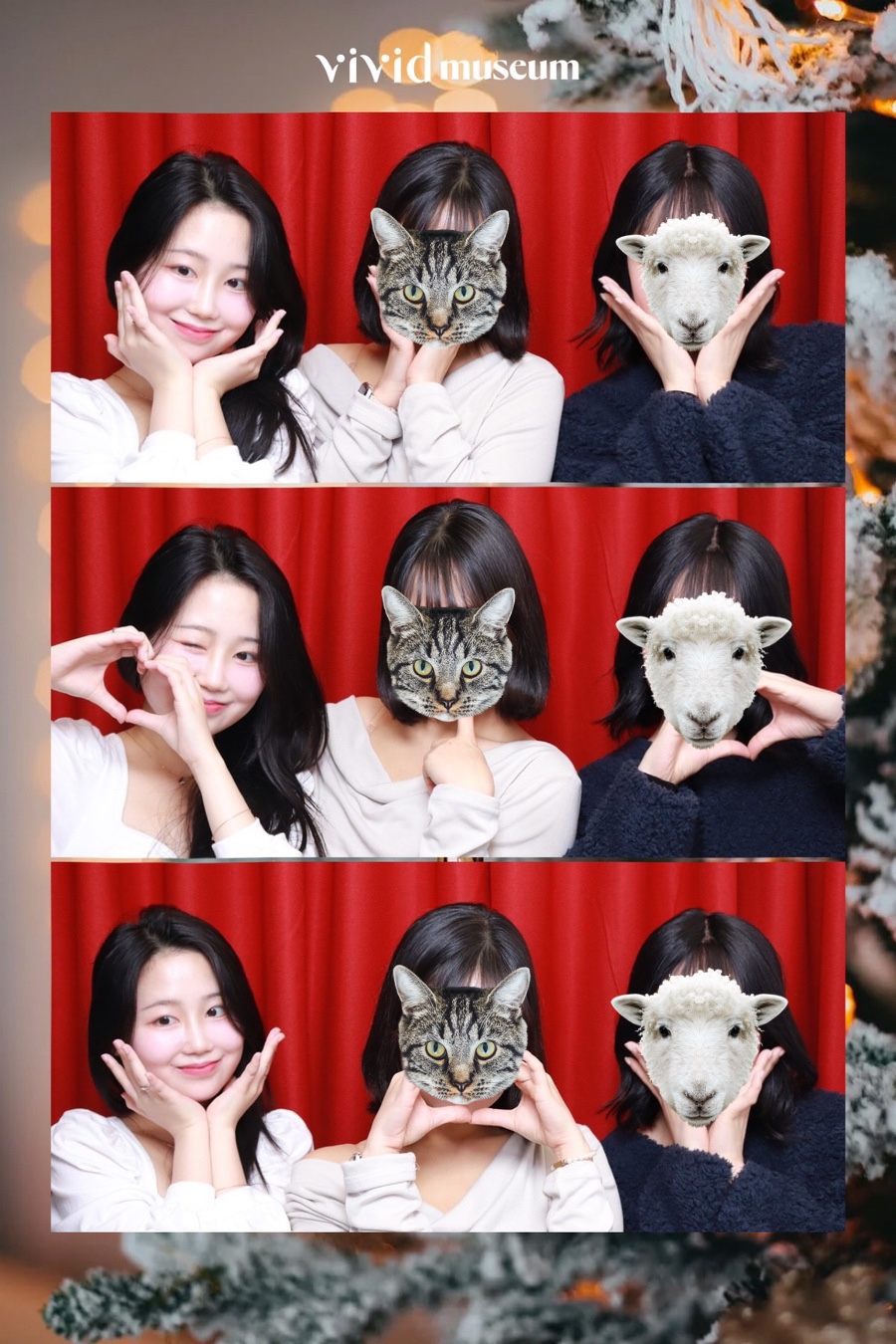 비비드뮤지엄 이미지