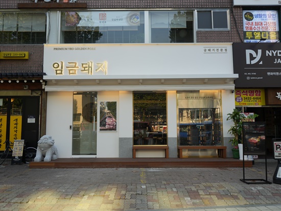 금돼지 이미지