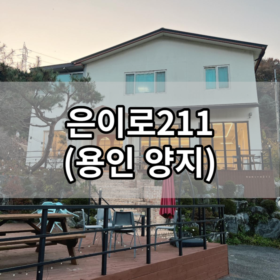 은이로211 이미지