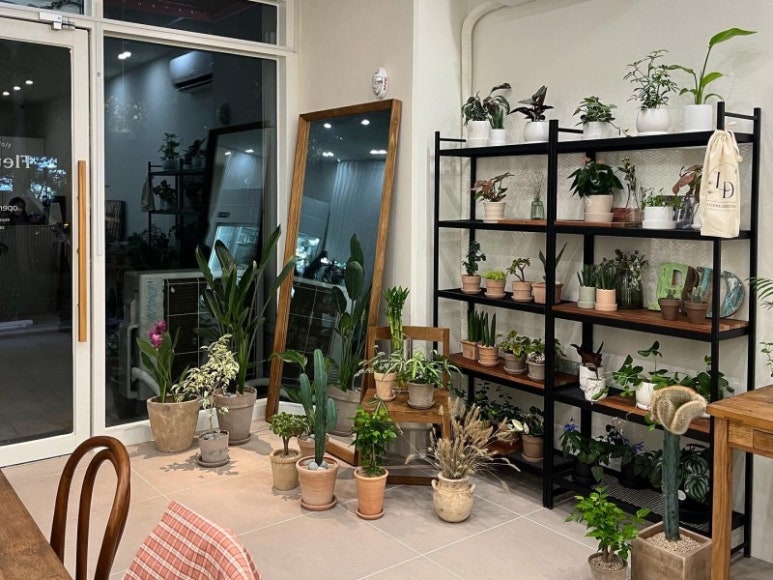 플레로드 이미지