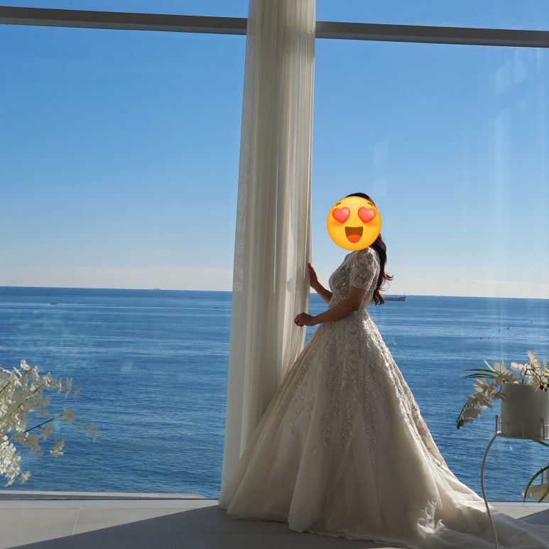 블랑드엘라 이미지