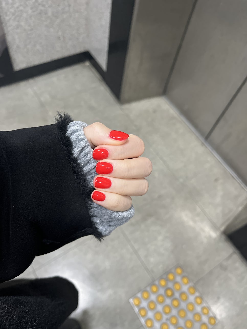 네일 피닉스 이미지