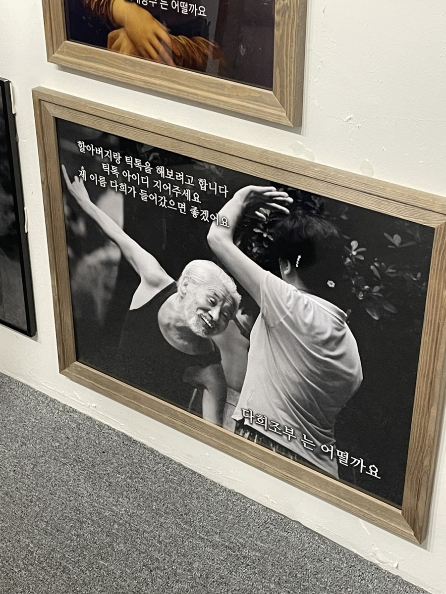 빵전시회 이미지