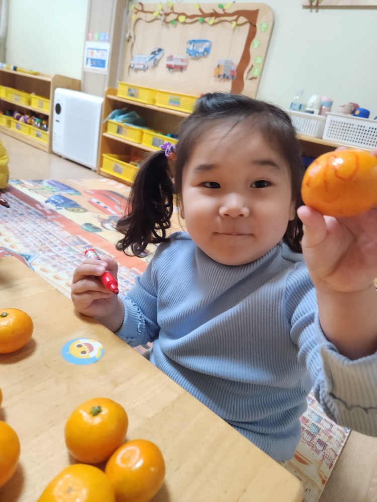 거진항코다리 이미지