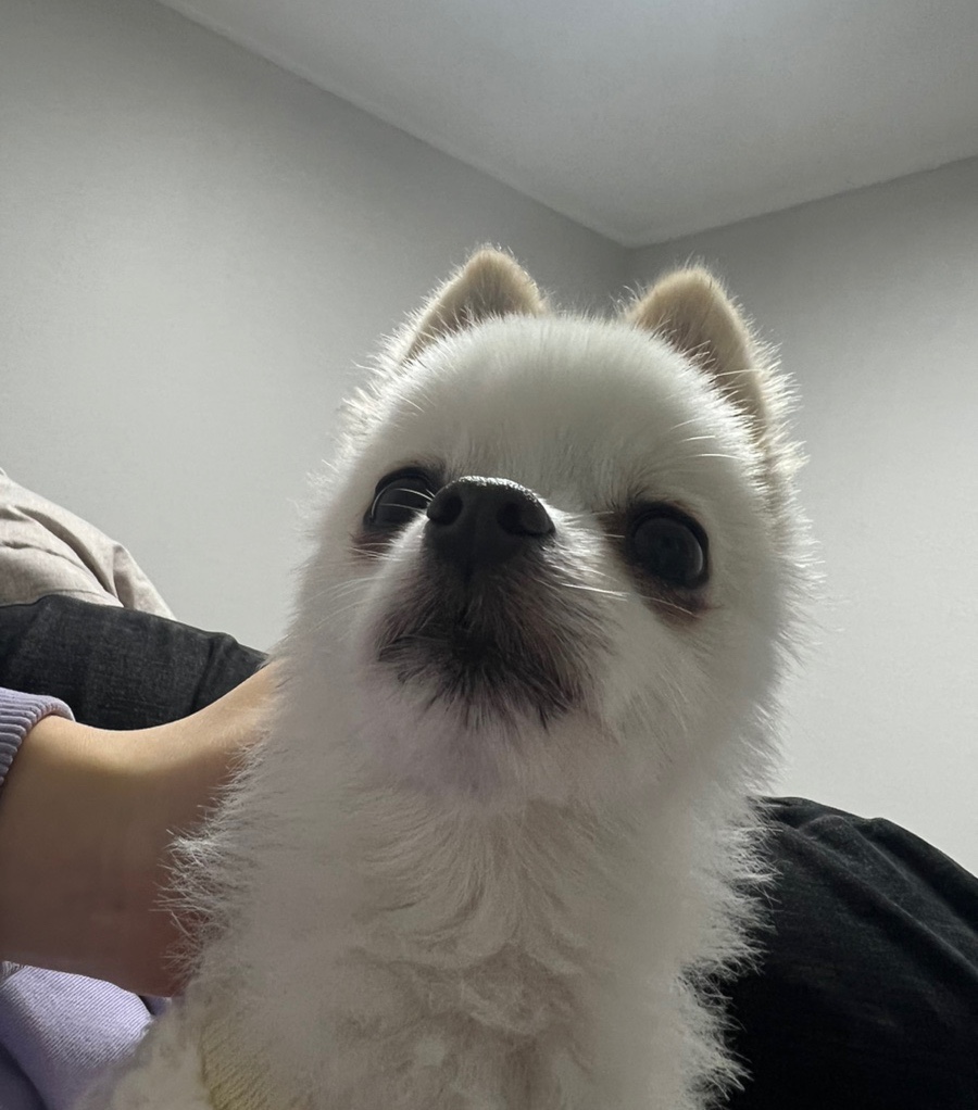 무드블리 이미지