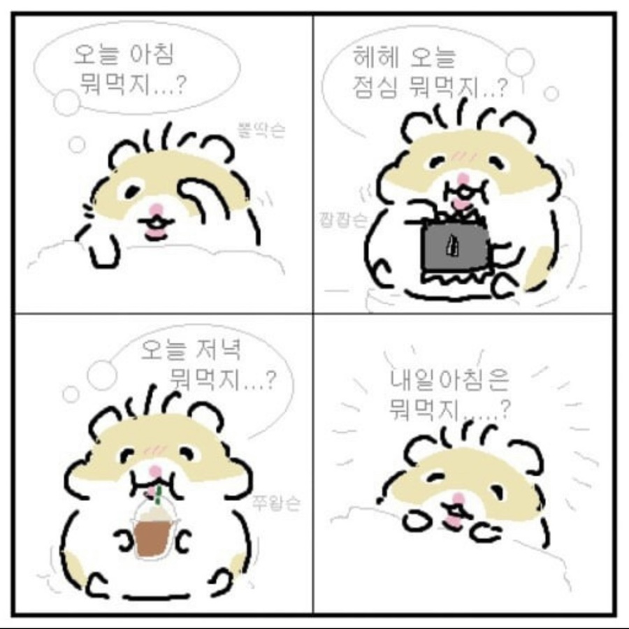 화요일의아침 이미지