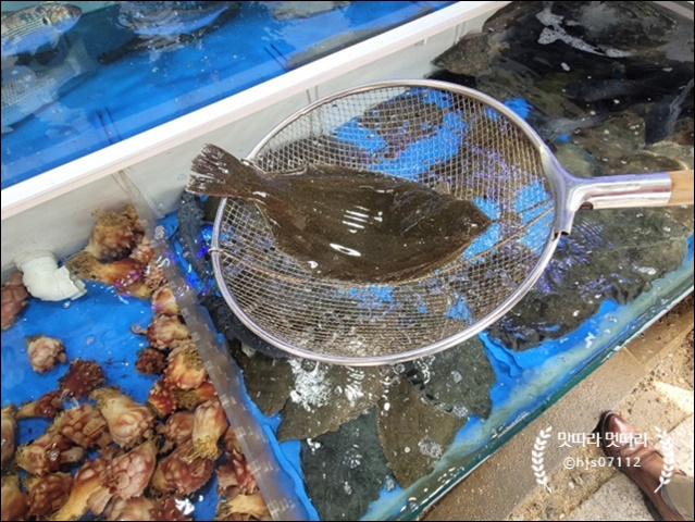팔팔회센타 이미지