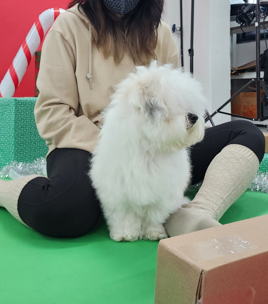 므므스튜디오 이미지