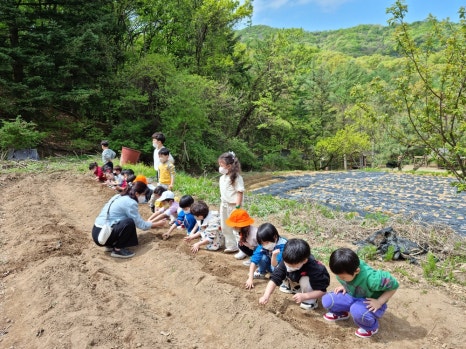 선경농원하늘숲아이자리 이미지