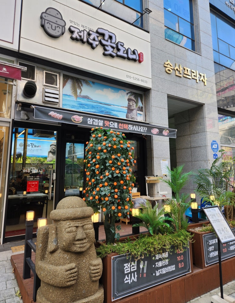 제주꽃도니 이미지