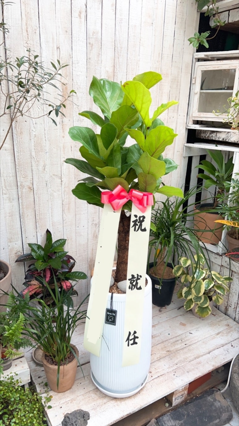 건축사사무소진영 이미지
