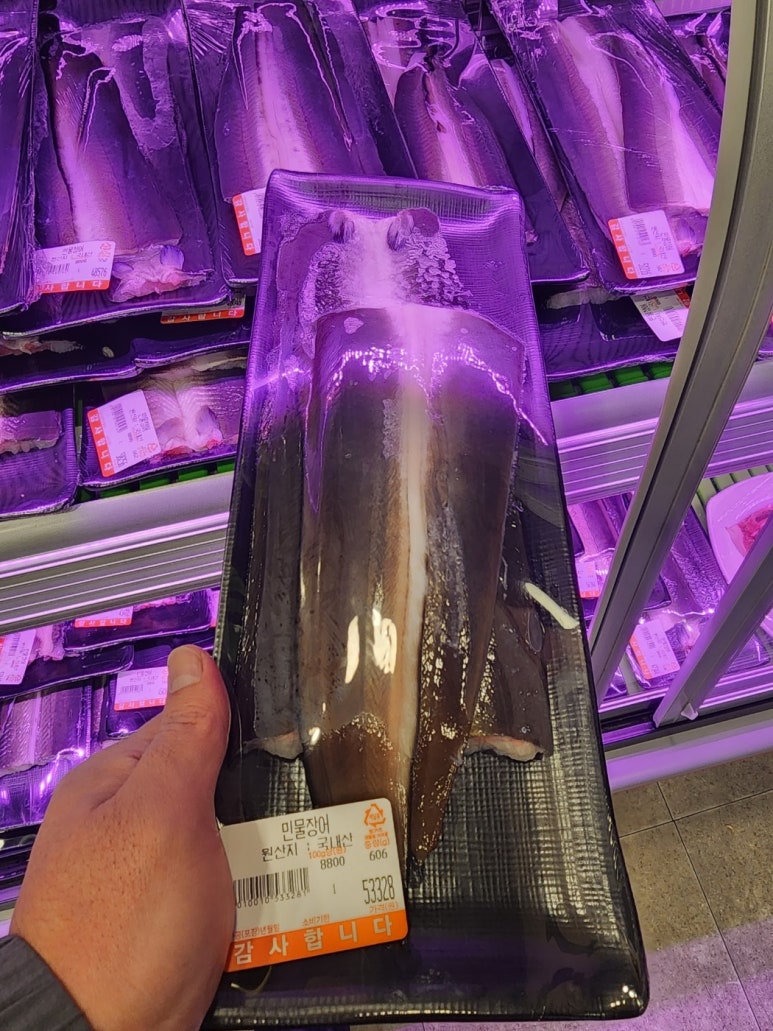오라장어 이미지