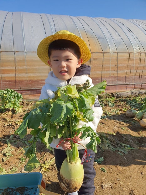 원이네 농장 이미지